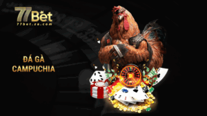 đá gà campuchia