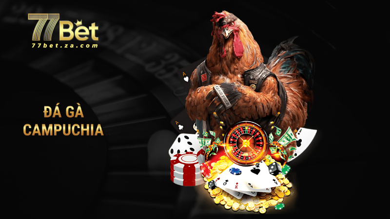 đá gà campuchia