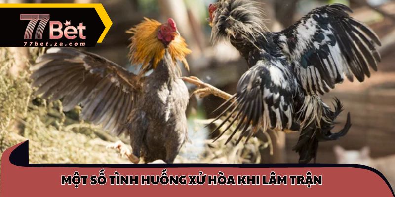 Một số tình huống xử hòa khi lâm trận