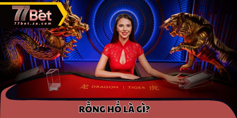 Rồng Hổ là gì?